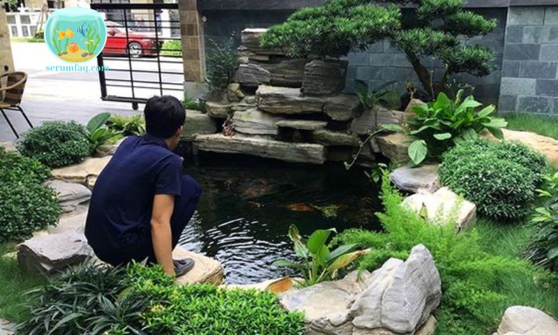 Steps to Clean an Outdoor Fish Pond